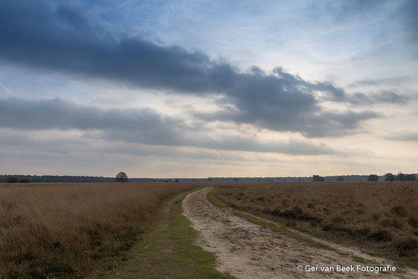 van Tienhovenweg