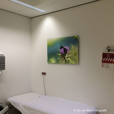 Polikliniek cardiologie, Jeroen Bosch Ziekenhuis