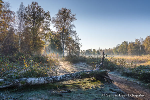 Boswachterij Dorst