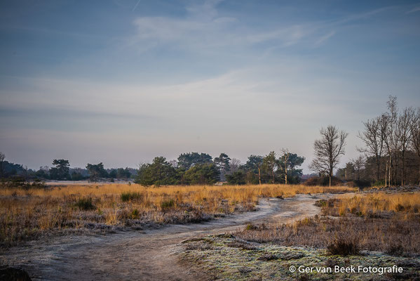 Kampina