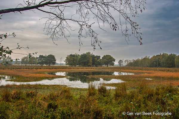 Huis ter Heide