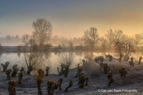 Mistflarden
