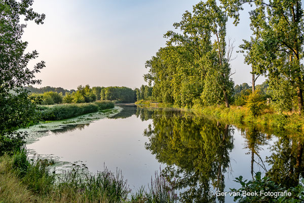 Dommel