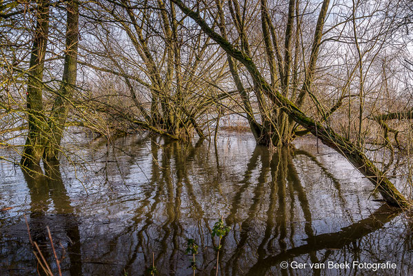 Hoog water