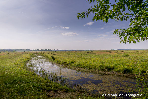 Markiezaatsmeer