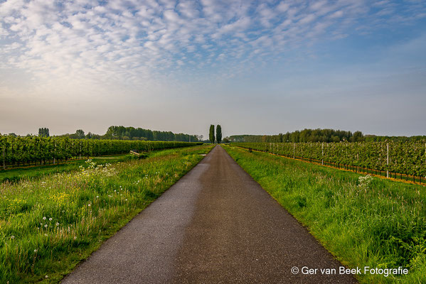 Polderweg