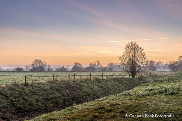 Koornwaard