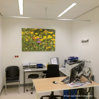 Polikliniek cardiologie, Jeroen Bosch Ziekenhuis