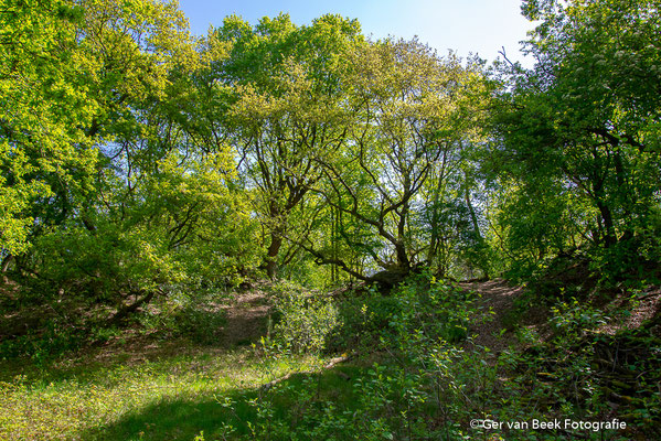 Huis ter Heide