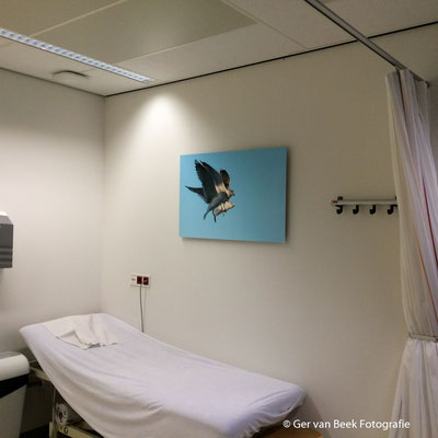 Polikliniek cardiologie, Jeroen Bosch Ziekenhuis