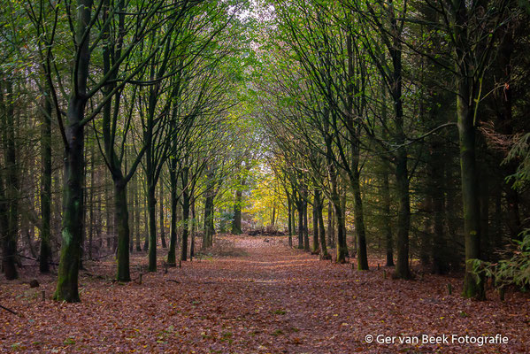 Sparrendaal