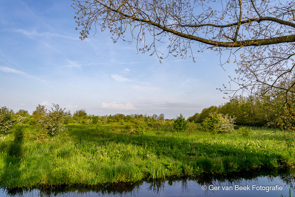 Zouweboezem