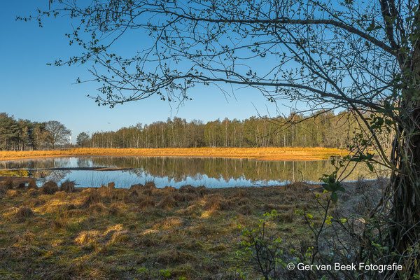 Huis ter Heide