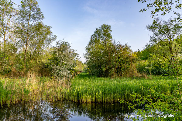 Zouweboezem