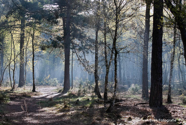 Huis ter Heide