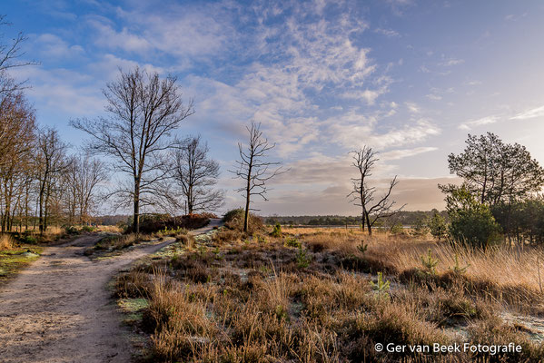 Kampina