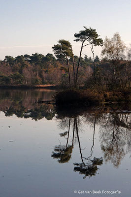 Goorvennen