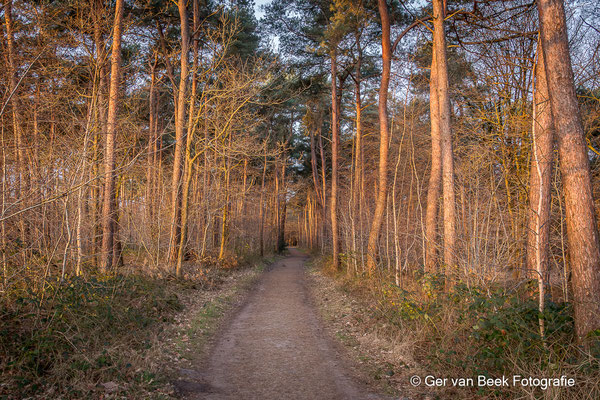 Huis ter Heide