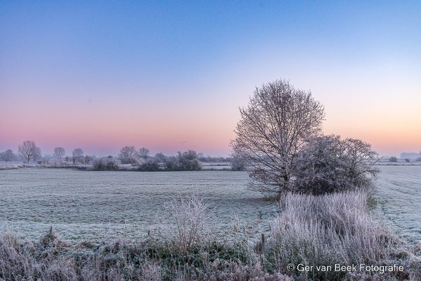 Winterlandschap