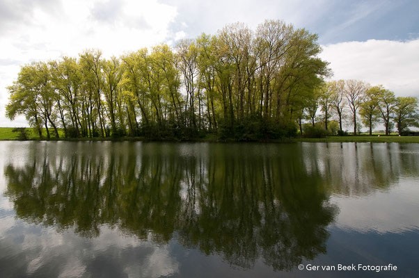 Koornwaard
