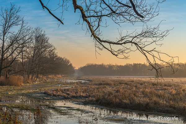 Kampina