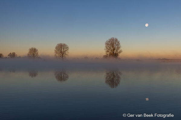 Maas