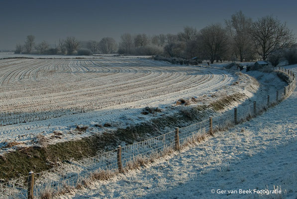 Sneeuwlandschap