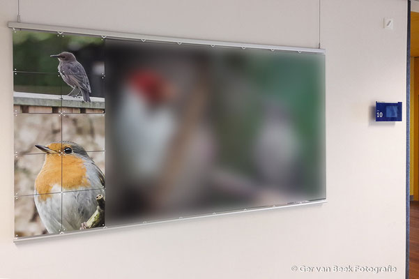Verpleegafdeling cardiologie, Jeroen Bosch Ziekenhuis