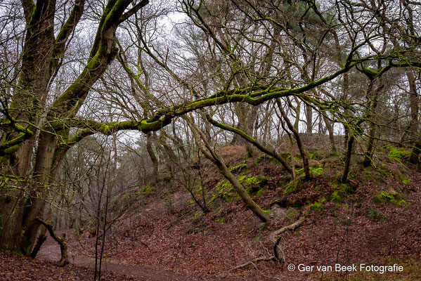 Huis ter Heide