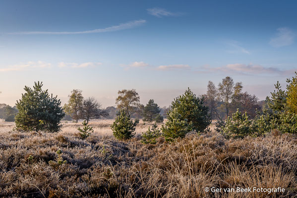 Kampina