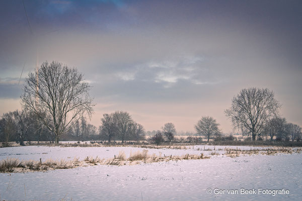 Koornwaard