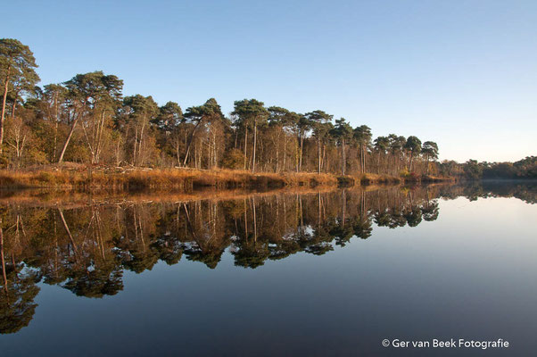 Groot Kolkven