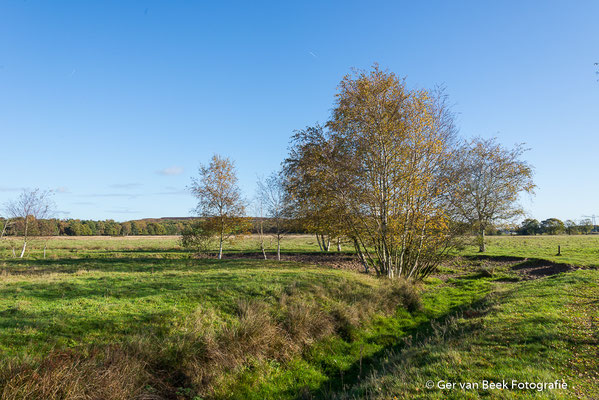Huis ter Heide