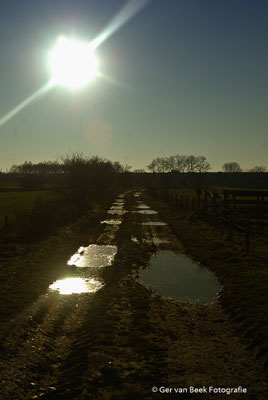 Koornwaard