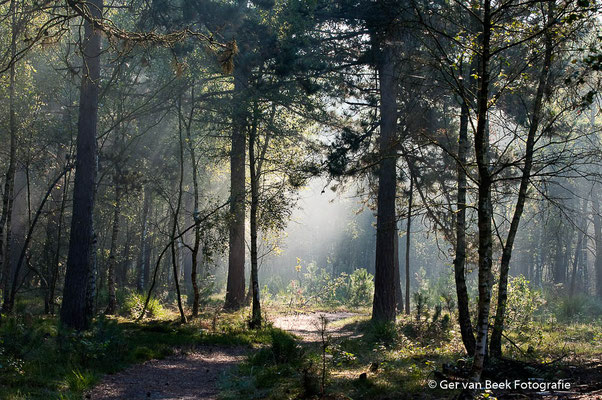 Huis ter Heide
