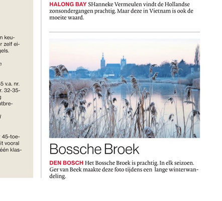 Bossche Broek, Brabants Dagblad
