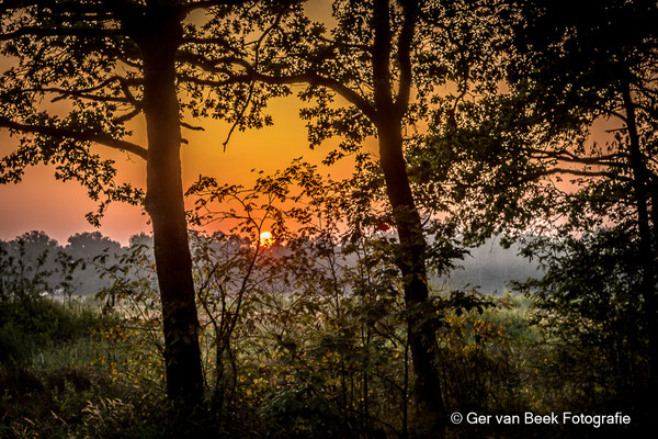 Zonsopkomst