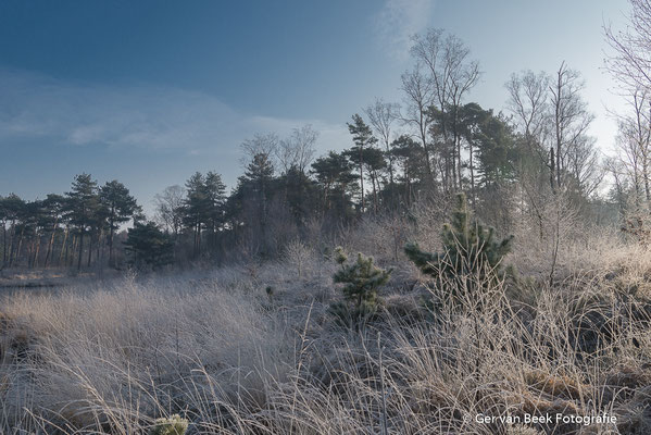 Winter ....