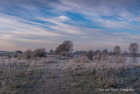 Koornwaard
