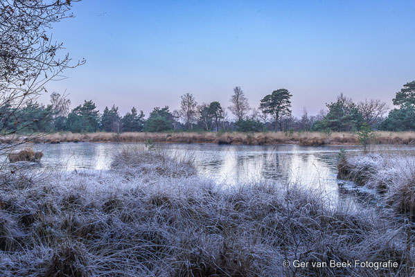 Kampina