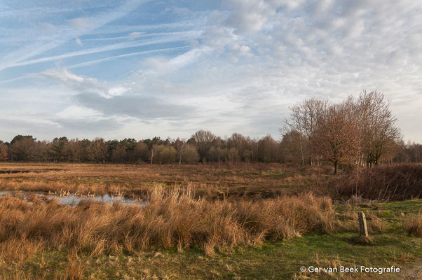 Huis ter Heide