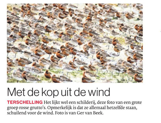 Met de kop uit de wind,Brabants dagblad