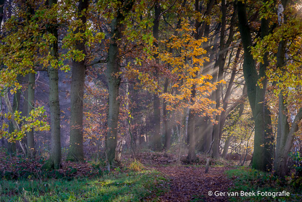 Zonneharpen