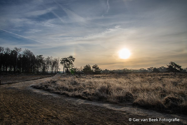 Heide