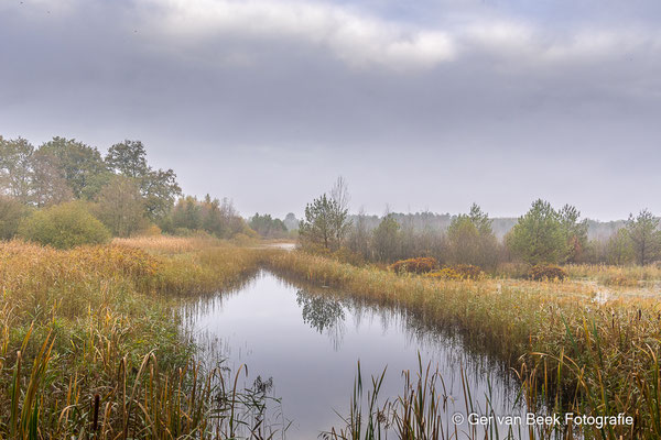 Kampina