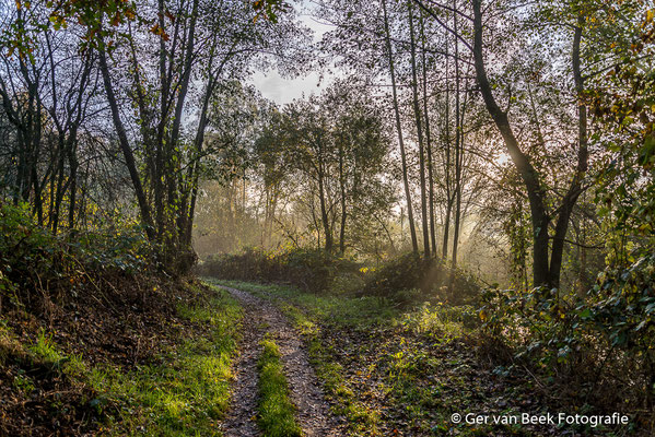 Kampina