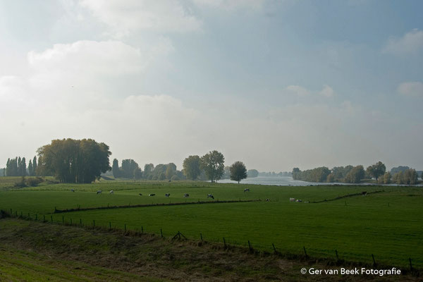 Maas
