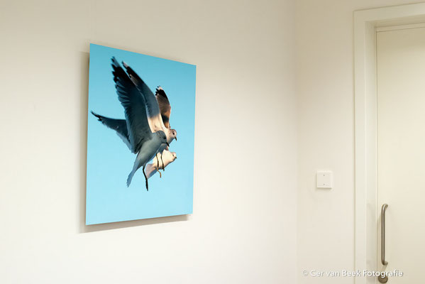 Hart Katheterisatiekamer, Jeroen Bosch Ziekenhuis