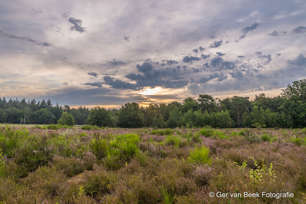 Galderse heide