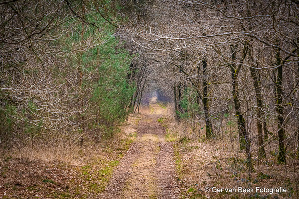 Huis ter Heide